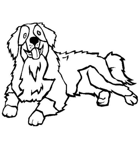Malvorlage Berner Sennenhund | Coloring and Malvorlagan