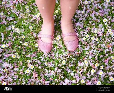 Young Girl Feet And Legs Wearing Pink Shoes Standing On A Lawn Covered