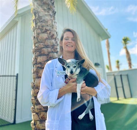 Fort Myers Veterinary Clinic Vaccines Routine Exams Surgeries