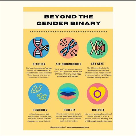 Beyond The Gender Binary — Next Distro