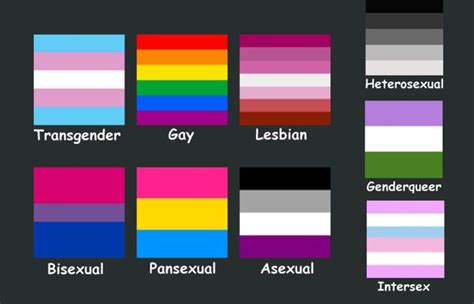 Trending 204d78 All The Lgbtq Flags And Names And Meanings