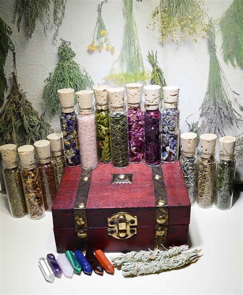 Herb And Flower Apothecary 10 Custom Glass Vials Herbs And Dried Floral