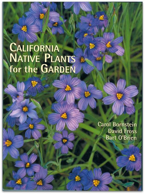 California Native Plants For The Garden Cnps Slo