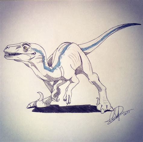 Blue The Velociraptor From Jurassic World Dibujos Dinosaurios