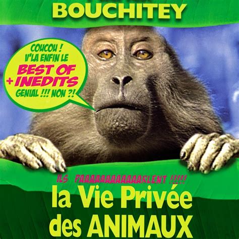 La Vie Privée Des Animaux Streaming - La vie privée des animaux de Patrick Bouchitey - Officiel - YouTube