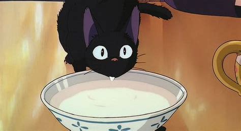 Jiji Drinking Milk Studio Ghibli Movies Studio Ghibli Hayao Miyazaki