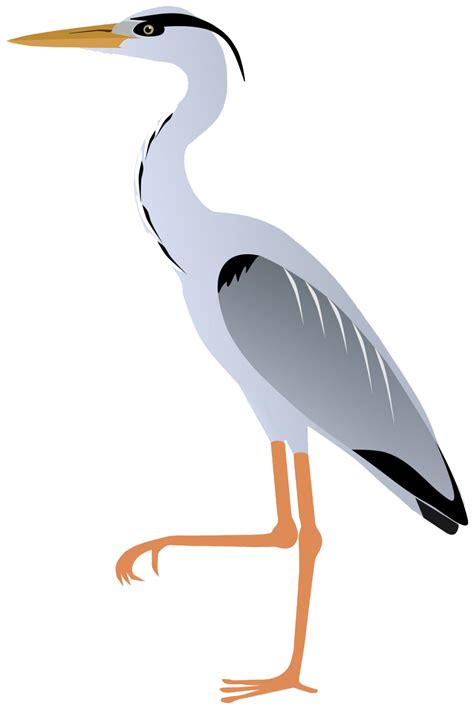 Heron Png Transparent Images Png All