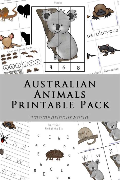 Australian Animals Printable Pack Australian Animals Australia