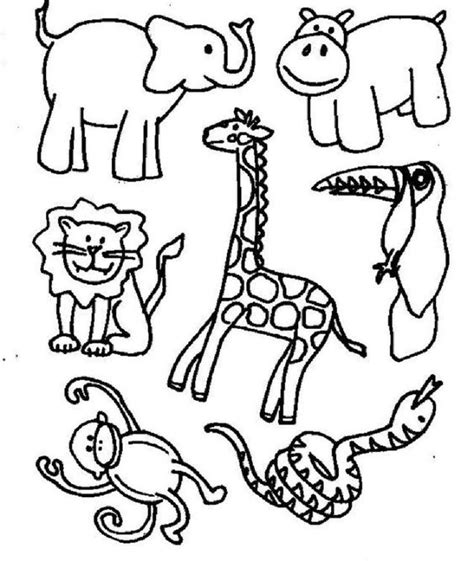 Jungle Animal Coloring Pages Zoo Animal Coloring Pages