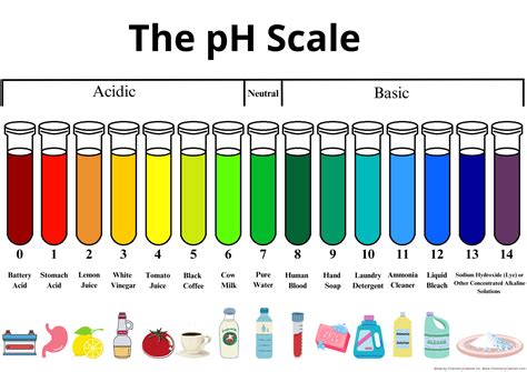 Ph Scale Chart Print Pdf Download Chemistry For Classroom Etsy Ireland