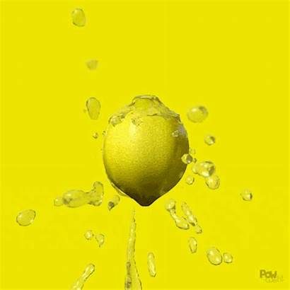 Citrus Lemon Fruit Animated Gifs Animation C4d