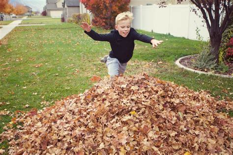 Child Jumping Into A Big Pile Of Leaves Stock Photo Image Of Jumping