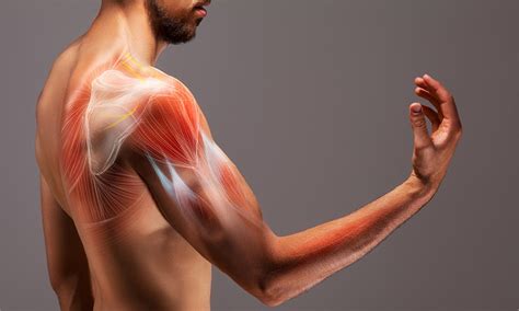 Shoulder Pain Causes Symptoms And Treatment Airrosti