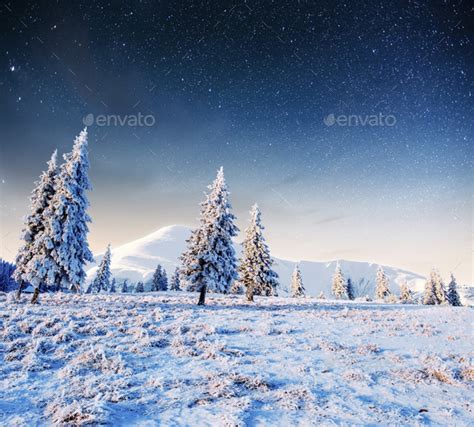 Starry Sky In Winter Snowy Night Fantastic Milky Way Stock Photo By
