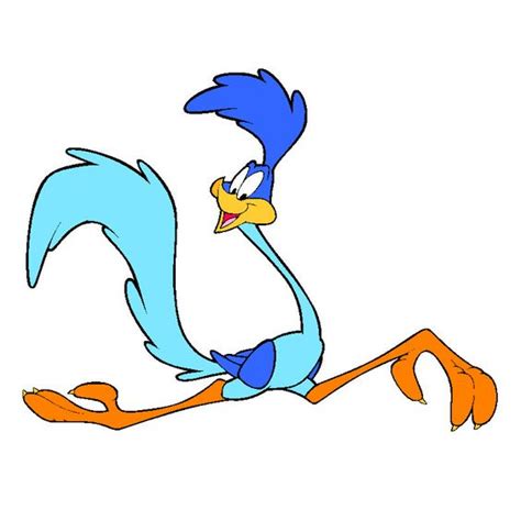 Cartoon Roadrunners How To Draw A Cartoon Roadrunner Step By Step