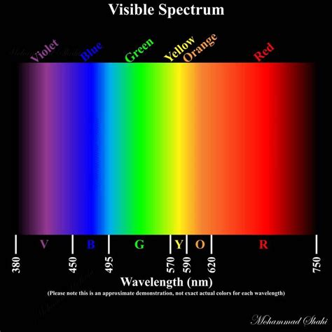 Visible Spectrum Visiblespectrum Visiblespectrum Visiblelight Visiblelight