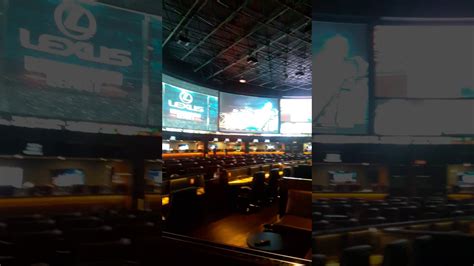Westgate Sports Book Youtube