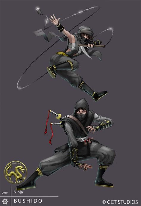 Ninja Art Shadow Warrior Ninja