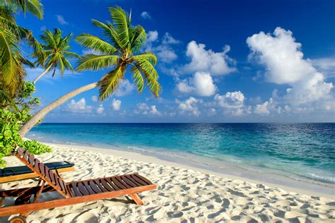 Download Sky Horizon Sand Palm Tree Tropics Sea Photography Beach 4k
