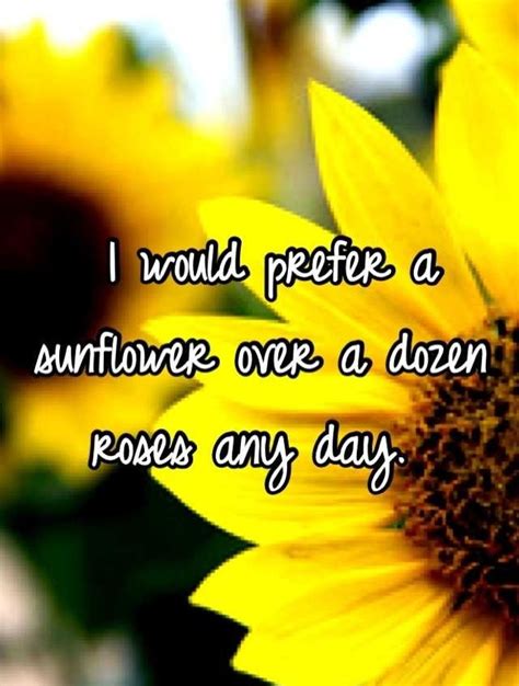Sunflower Love Quotes For Him