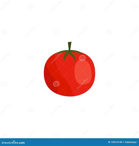 Un Tomate Rojo Dibujado Aislado En Fondo Blanco Ilustración Del Vector