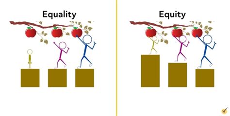 Equality Vs Equity Video