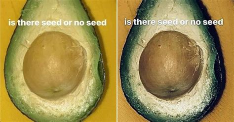 Does This Avocado Have A Seed Or Not Optical Illusion Divides People Metro News