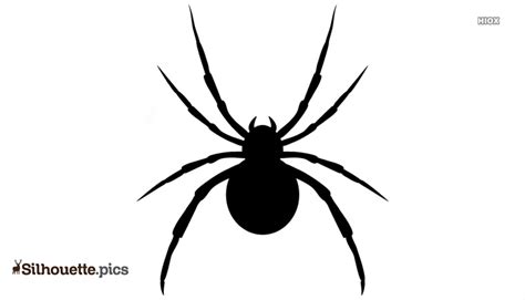 5 Black Widow Spider Svg Spooky Halloween Insect 828213 Clip Art