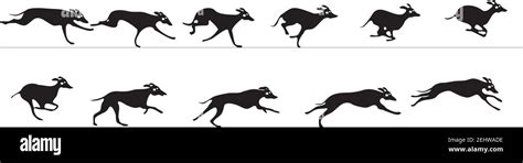 Greyhound Running Animation Sprite Sheet Stock Vector Image And Art Alamy