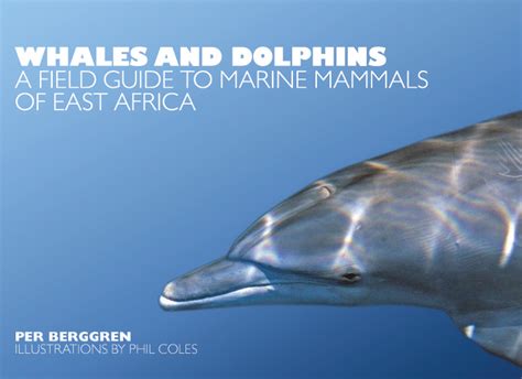 Whales Dolphins Field Guide Marine Mammals East Africa Dolphinwhale