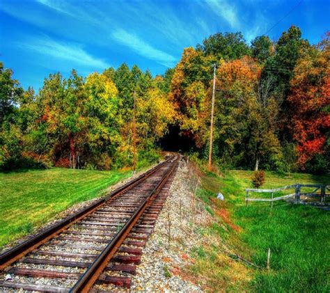 Nature Railway Trees Wallpapers Hd Desktop And Mobile Backgrounds