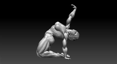 Muscular Woman Body 3D Model CGTrader
