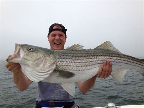 Bass Fishing Massachusetts Greggelf