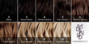 What Level Is My Hair Find Your Hair Color Level With This Guide From