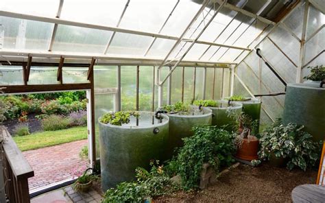 Thermal Mass Greenhouse With Water Barrels To Heat Greenhouse