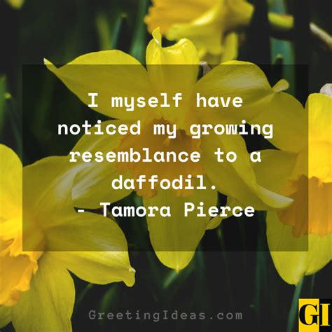 30 Lovely And Beautiful Daffodil Quotes And Sayings