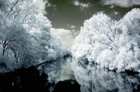 Digital Infrared Photography Practical Aspects Educational Articles
