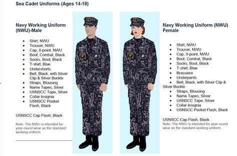 Marine Corps Uniform Regulations Mclflorg