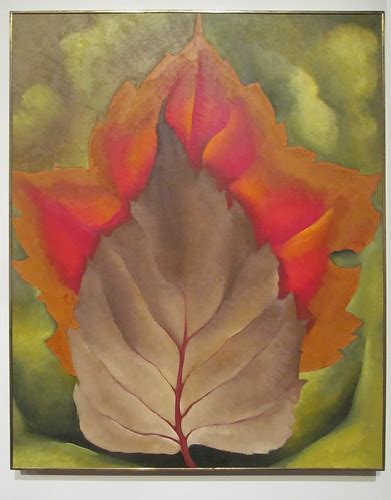 Georgia Okeeffe Red And Brown Leaves 1925 Oil On Canvas Flickr