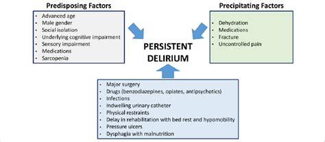 Predisposing And Precipitating Factors For Delirium In The Described