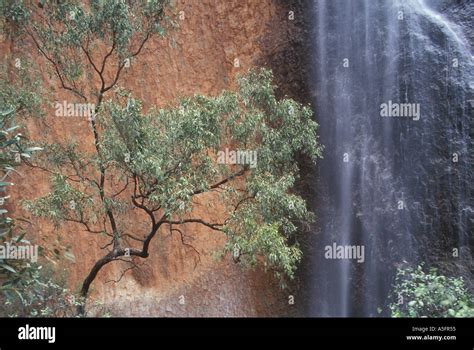 Australia Northern Territory Uluru Kata Tjuta National Park Waterfall