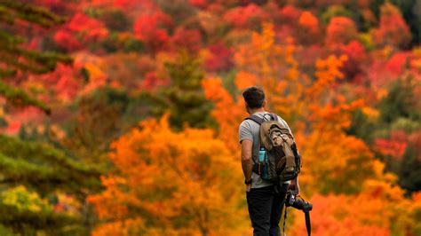 Fall foliage 2020: Leaves, colors still vibrant despite cold weather
