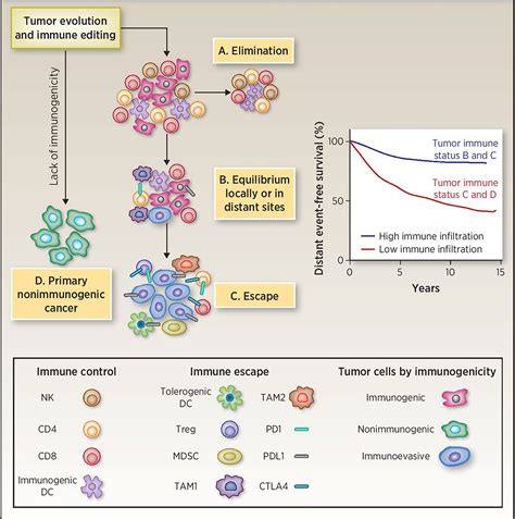 Prüfung Meisterschaft Staub immune escape mechanisms as a guide for