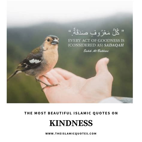 10 Best Islamic Quotes On Kindness Kindness In Islam Festifit