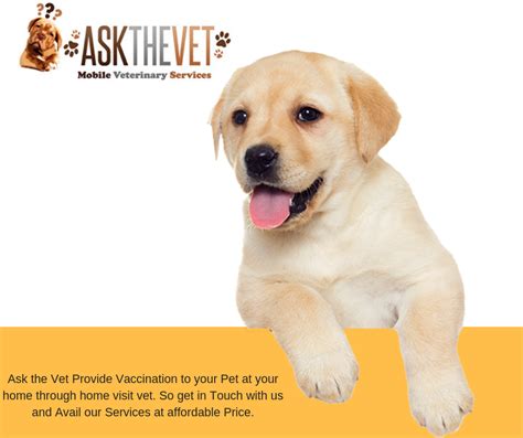 2) providing quality service in a convenient location; Get in Touch with Ask the Vet and get Proper Care of your ...