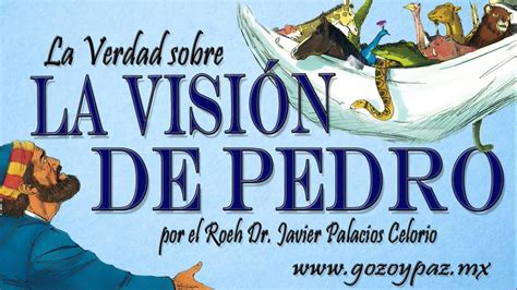 La Verdad Sobre La VisiÓn De Pedro Roeh Dr Javier Palacios Celorio