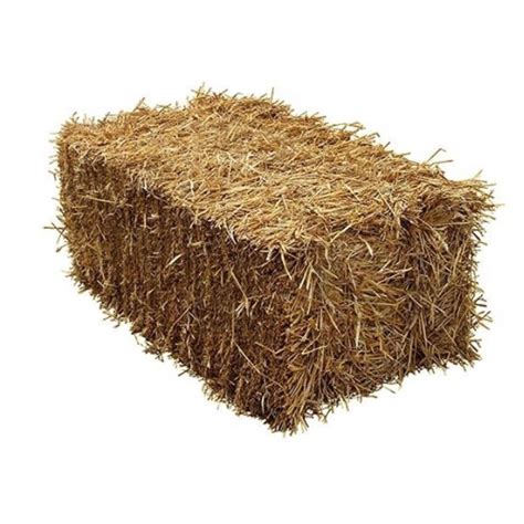 Non Organic 2nd Cut Hay Square Bales Bluevault Hay