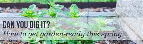 Can You Dig It How To Get Garden Ready This Spring