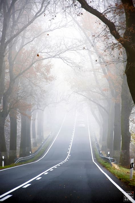 Beautiful Foggy Road A1 Pictures