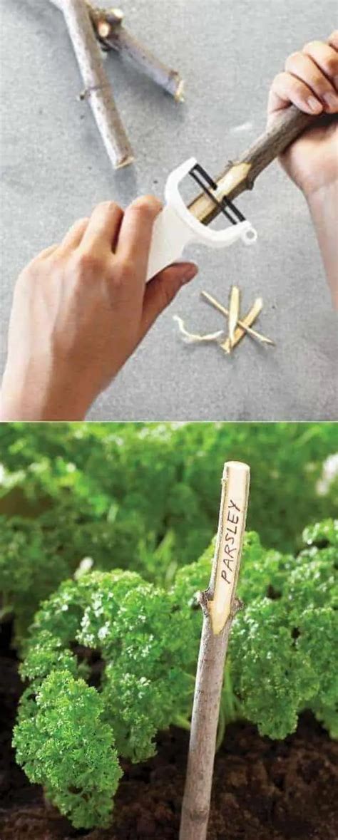 Diy Garden Plant Markers 1001 Gardens